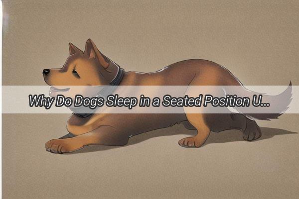 Why Do Dogs Sleep in a Seated Position Unveiling the Pawsome Reason Behind the Posture